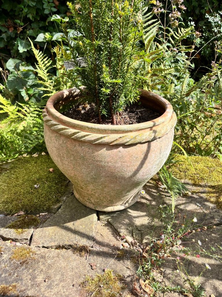 Large Terracotta Garden Planter – Good Used Condition