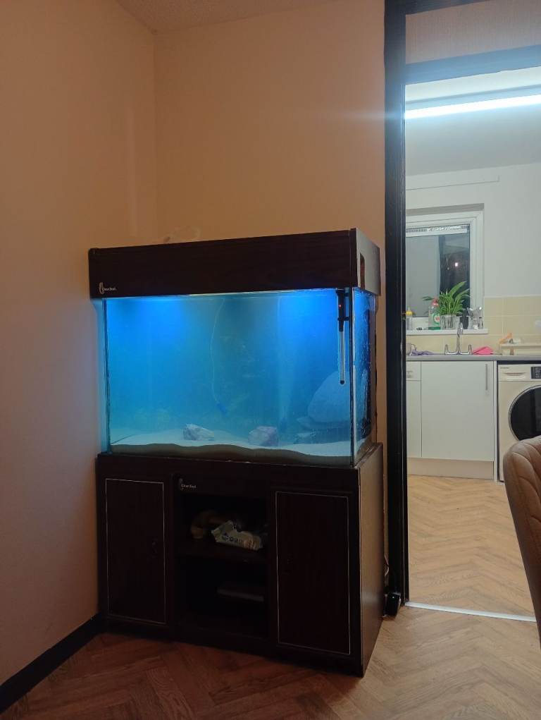 3 foot by 2 foot fish tank with stand and accessories 