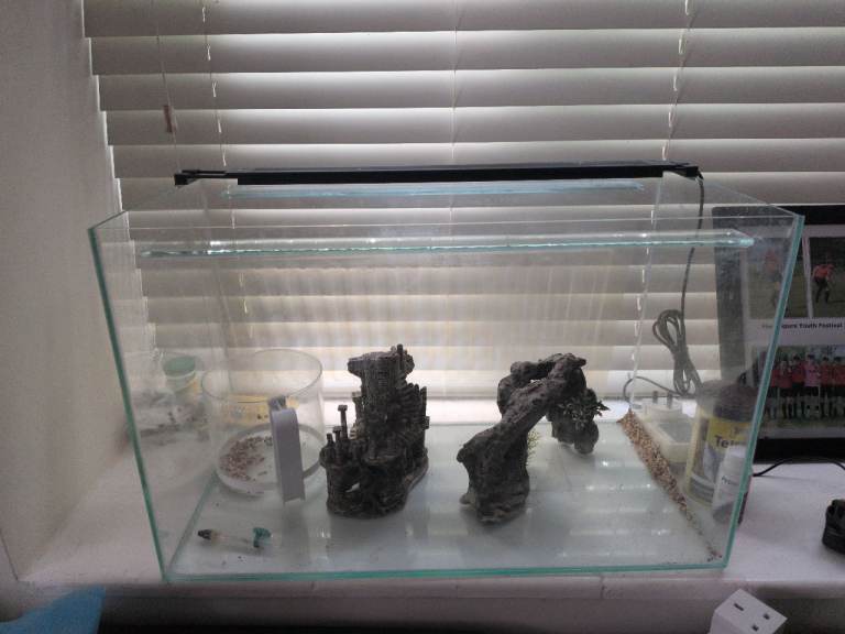 Fish tank