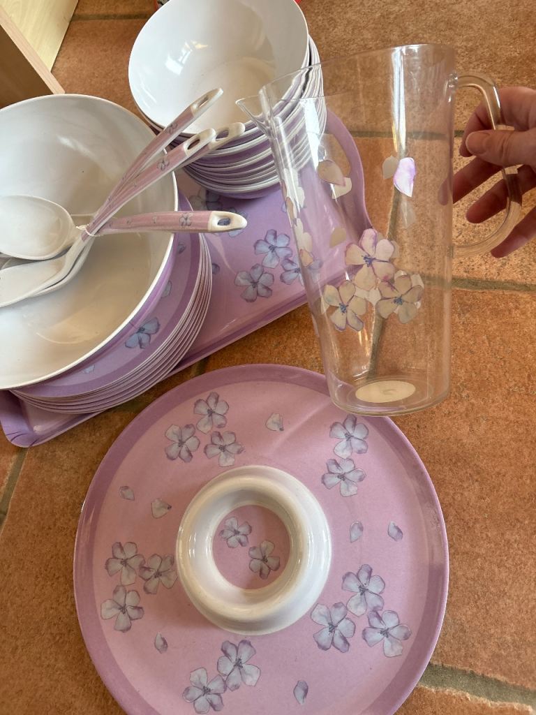 Plastic plates bowls set Free 