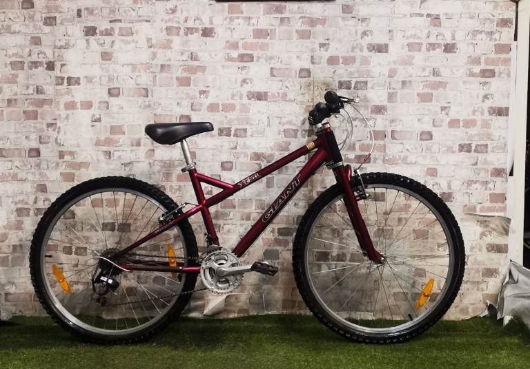 Giant Devil Mountain Bike Bicycle  Great Condition 