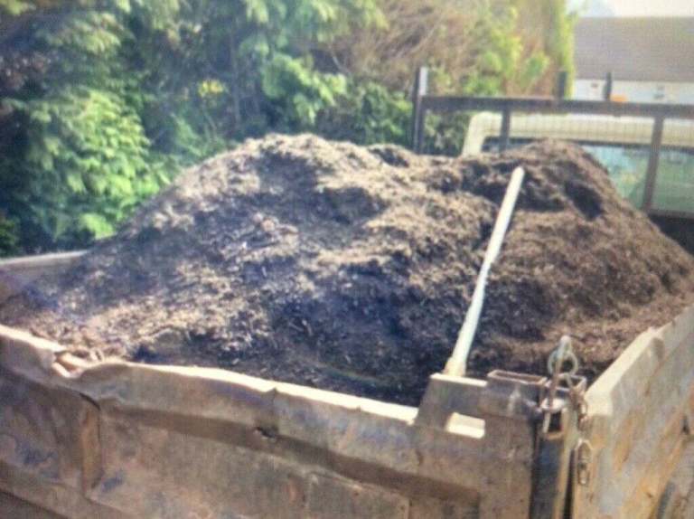 Organic Compost 