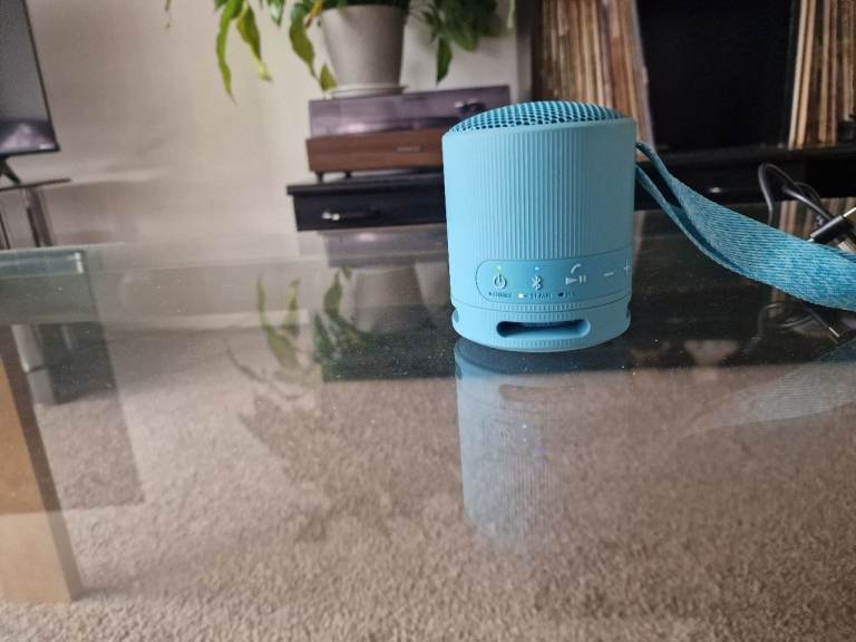 Sony SRS-XB100 speaker 