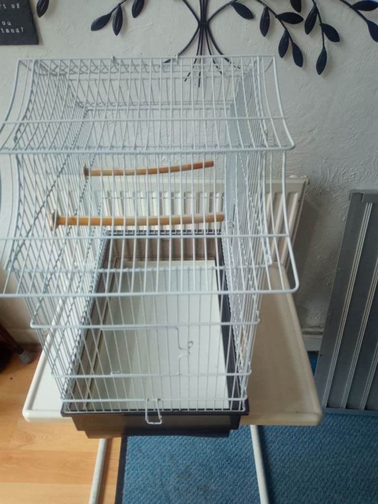 Bird cage 