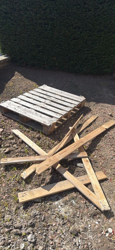 Free - wooden pallet and additional timber