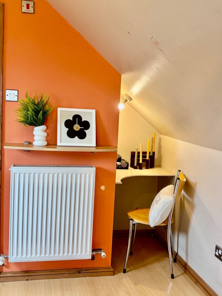 Large En suite room with private fridge freezer 