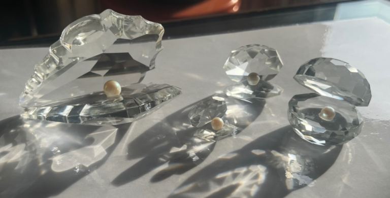 Vintage Clamshell Swarovski Collection