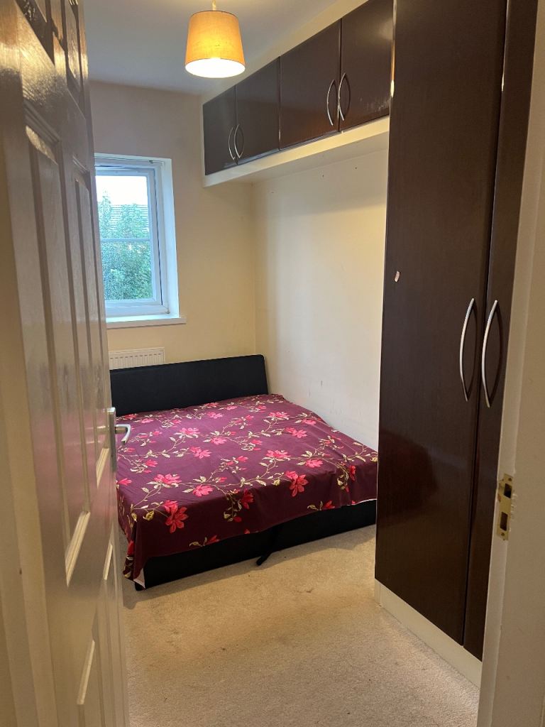 Big single room available 