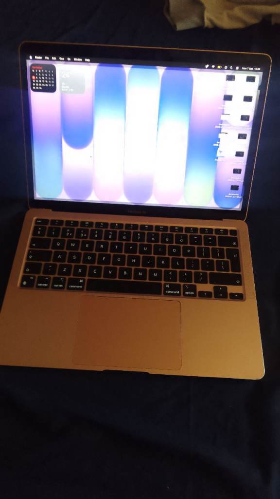 Gold Apple MacBook MacBook Air A1 (2020)