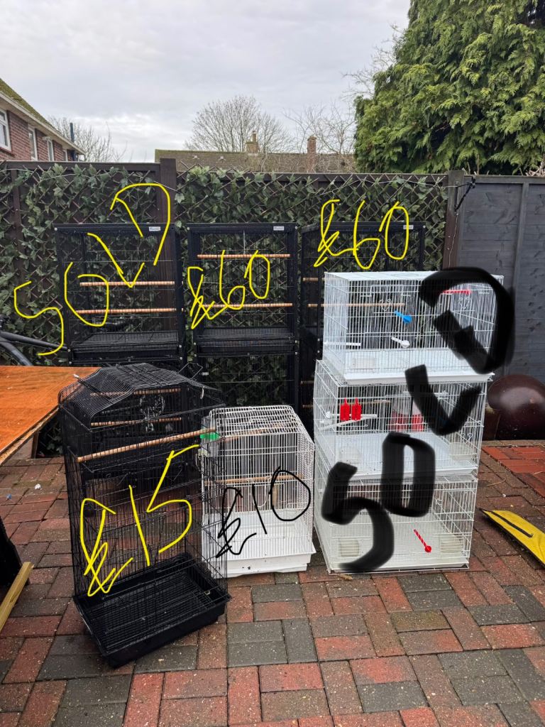 image for Birds cages mixed cages 