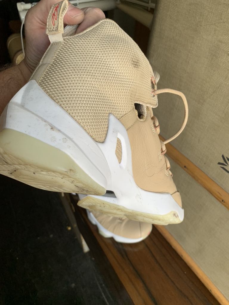 image for Lebron James Nike basketball shoes 