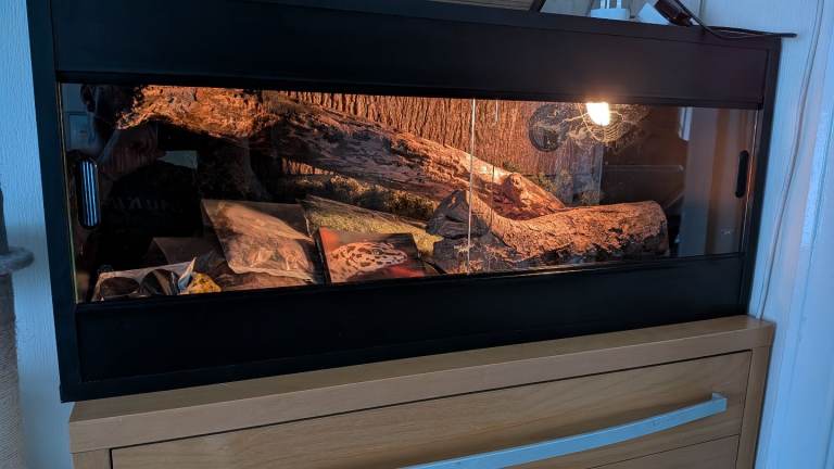 Black vivarium and accessories 