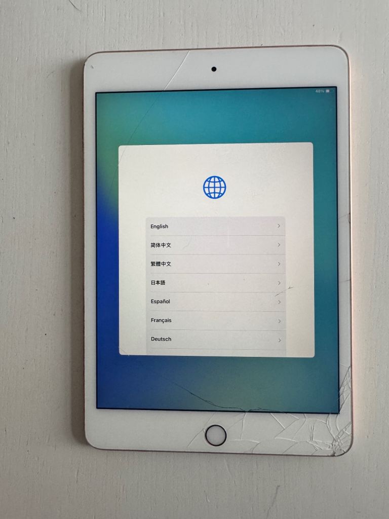 iPad mini 5th generation 