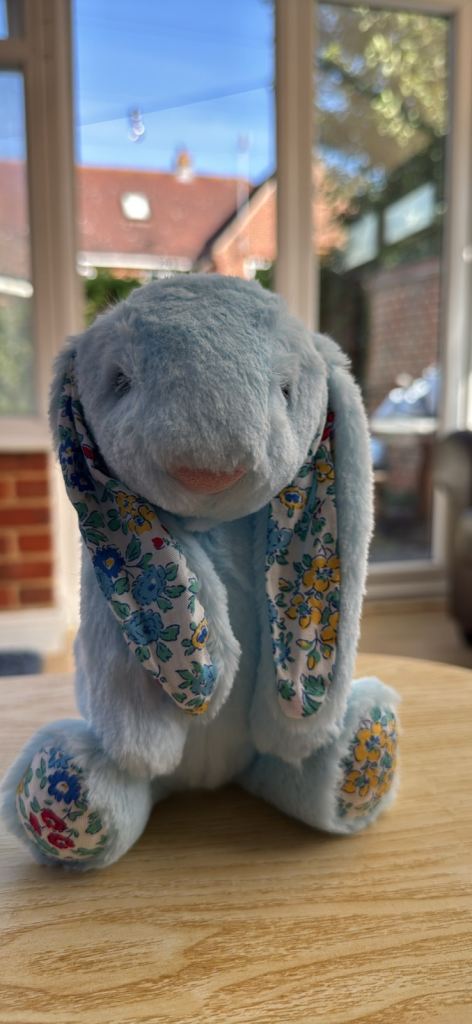 Brand New 25cm Blue Rabbit Plush Toy with Floral Ears
