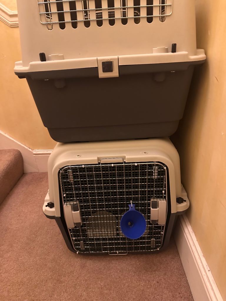 Pet carrier for sale