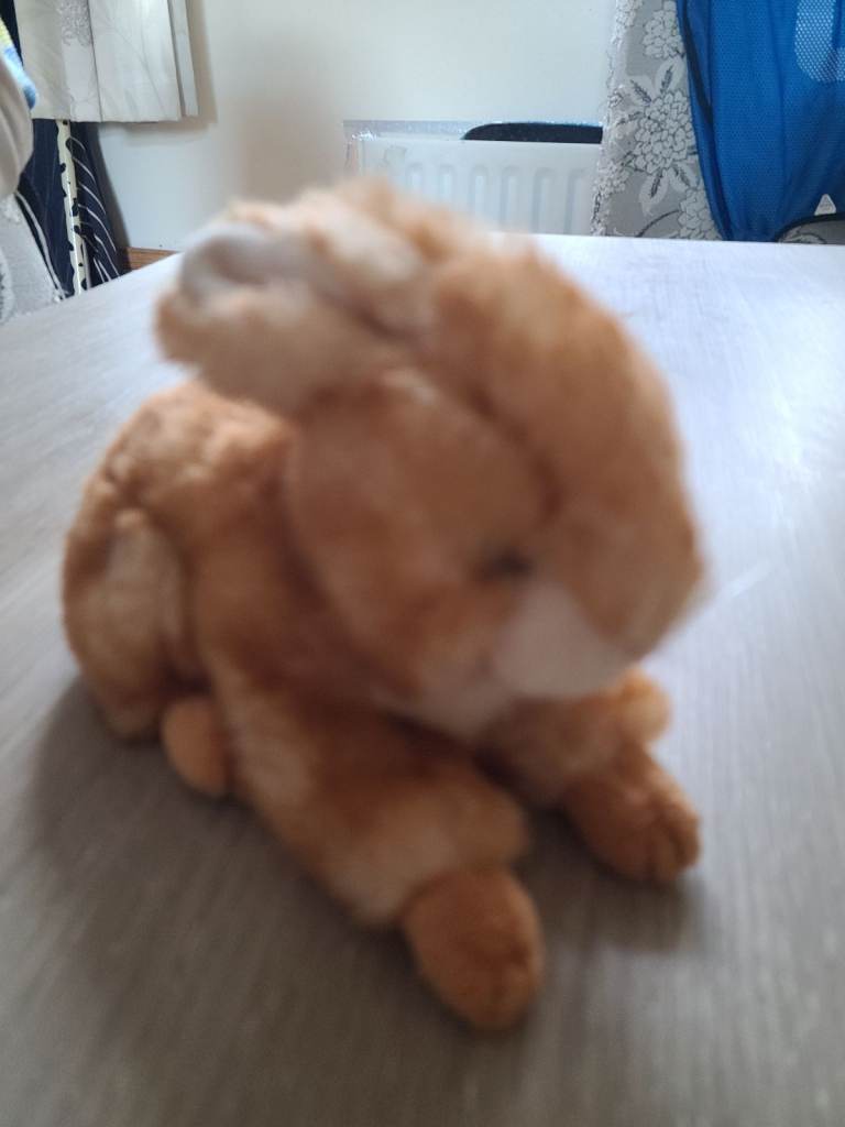 Beautiful ty beanie bunny