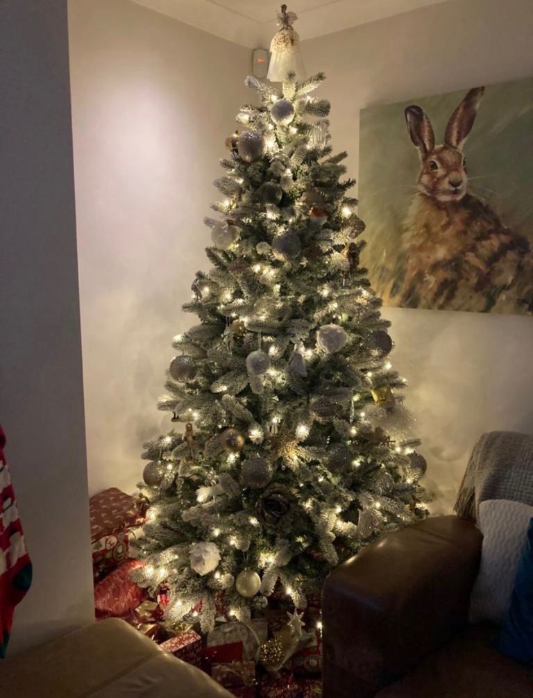 7ft Bushy Frosted Branch Built in Warm LED Lights in Original Box Christmas Tree