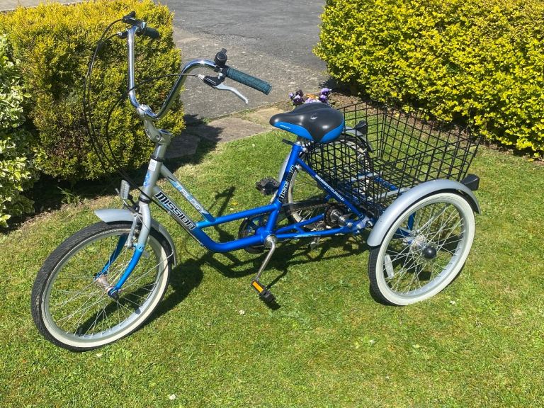 Adult Tricycle