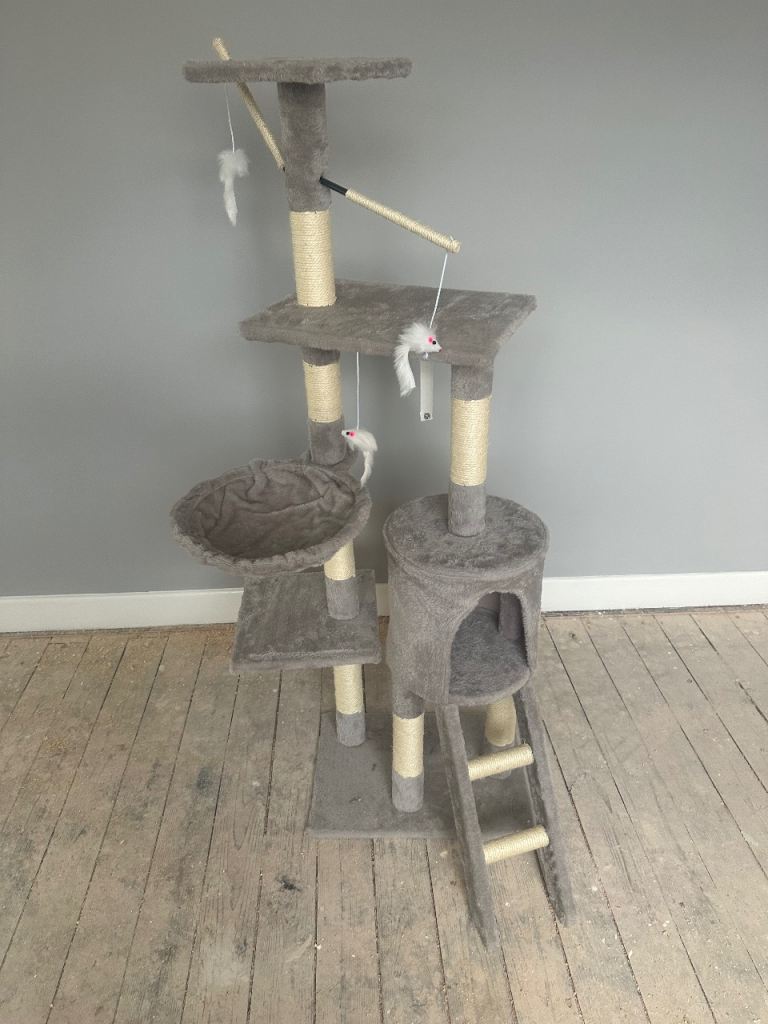 Cat Climbing Tree Tower With Ladder 