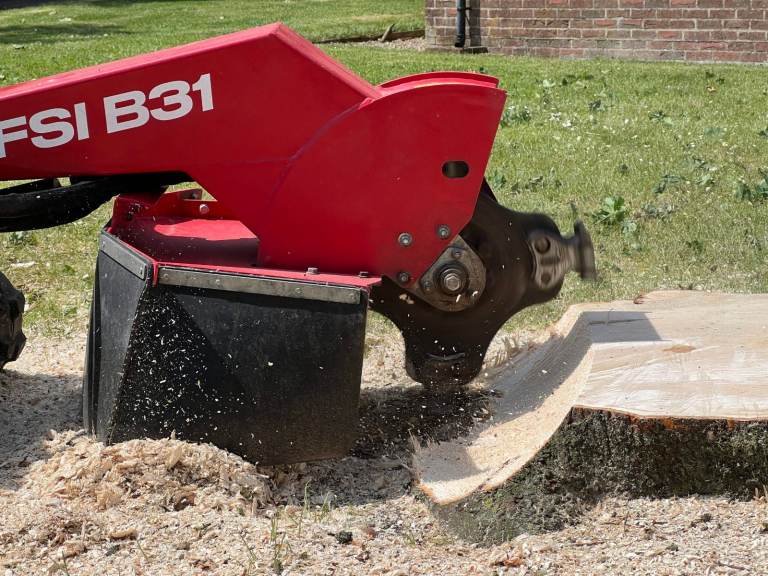 Tree Stump Removal / Grinding Service in Kent, Sussex, Surrey, London, Essex & South East