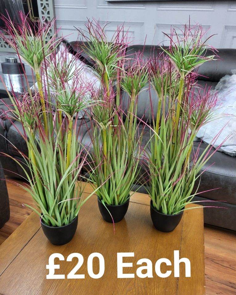 Ex-Display Home Decor & Accessories