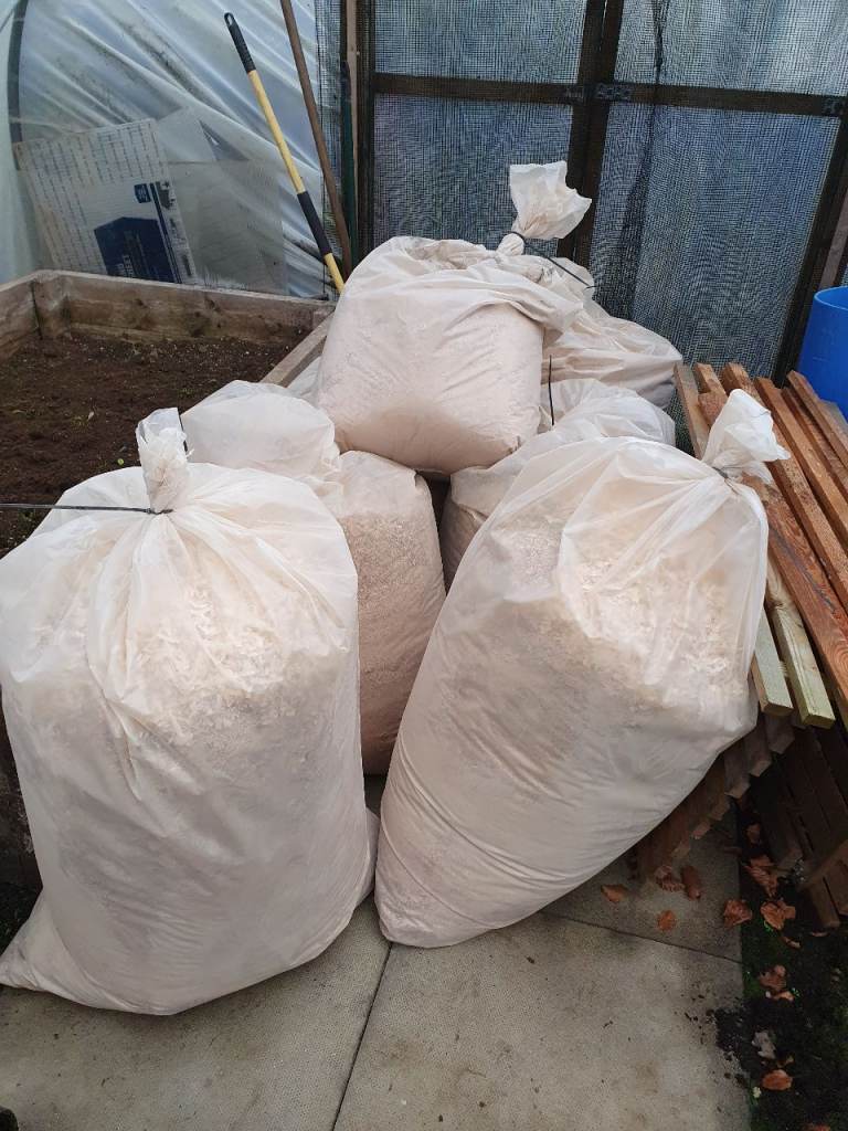 Seven Large Bags of Wood Sawdust - Free of Charge.