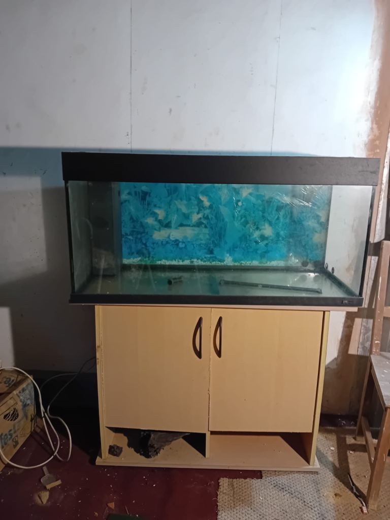 Fish Tank 