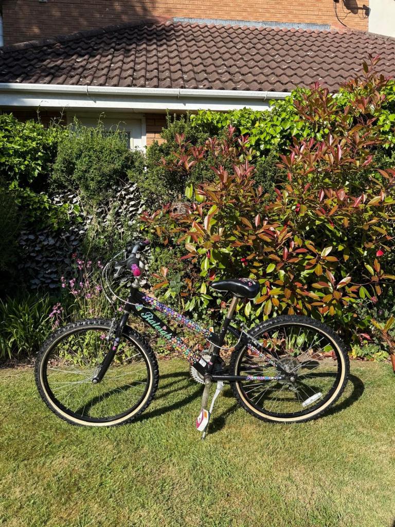 Girls 24 inch bicycle 