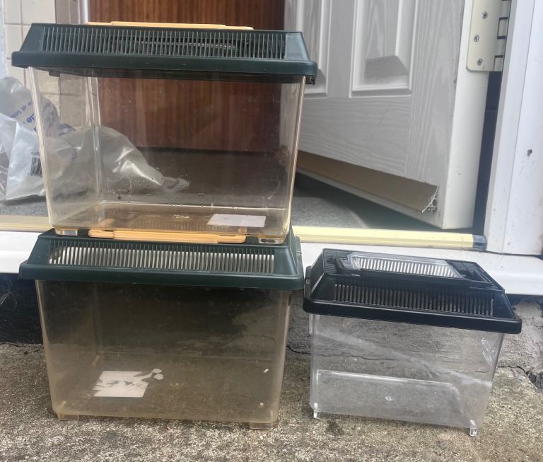 Enclosure for small insect/reptile