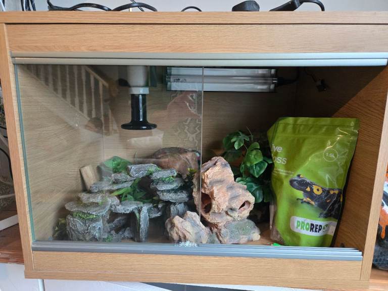 Vivarium and set up 