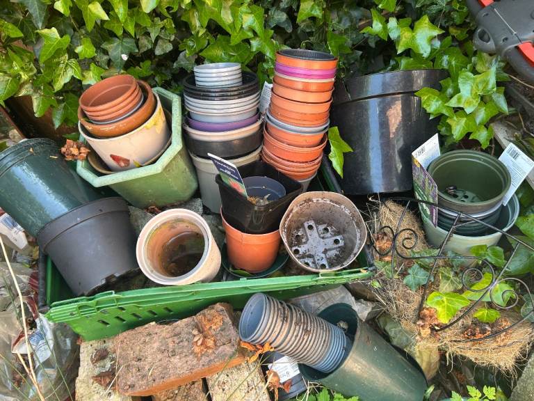 various plant pots