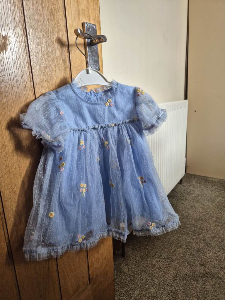 Blue Embroided Flower mesh baby dress