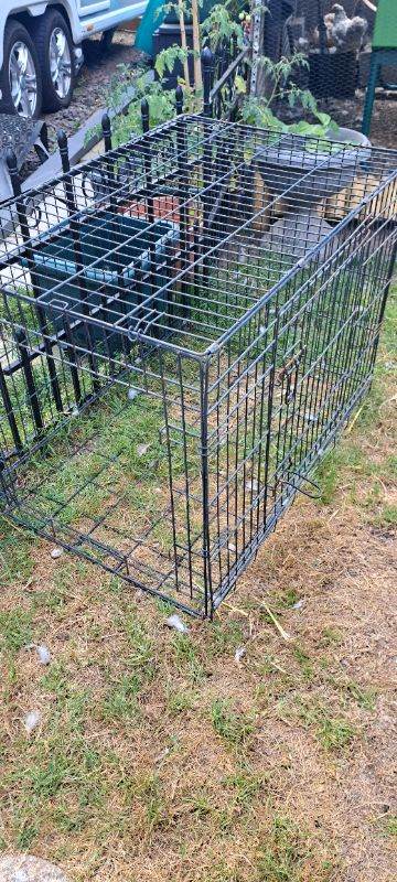 Large dog/pet cage folding for storage metal