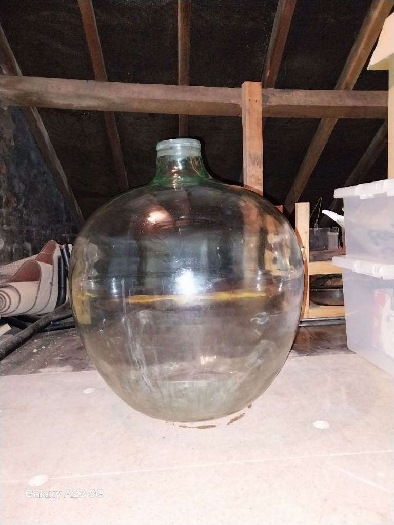 Large glass carboy bottle for terrarium