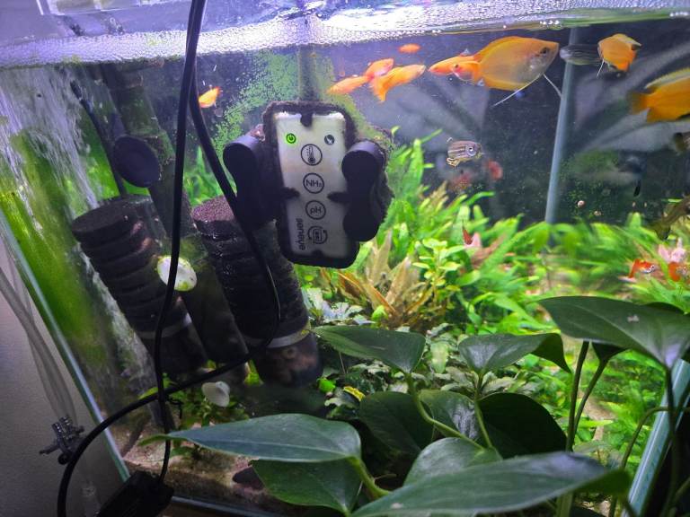 Complete tropical fish setup