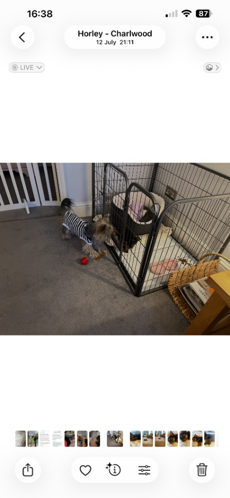 Open topped pet crate/ play pen 