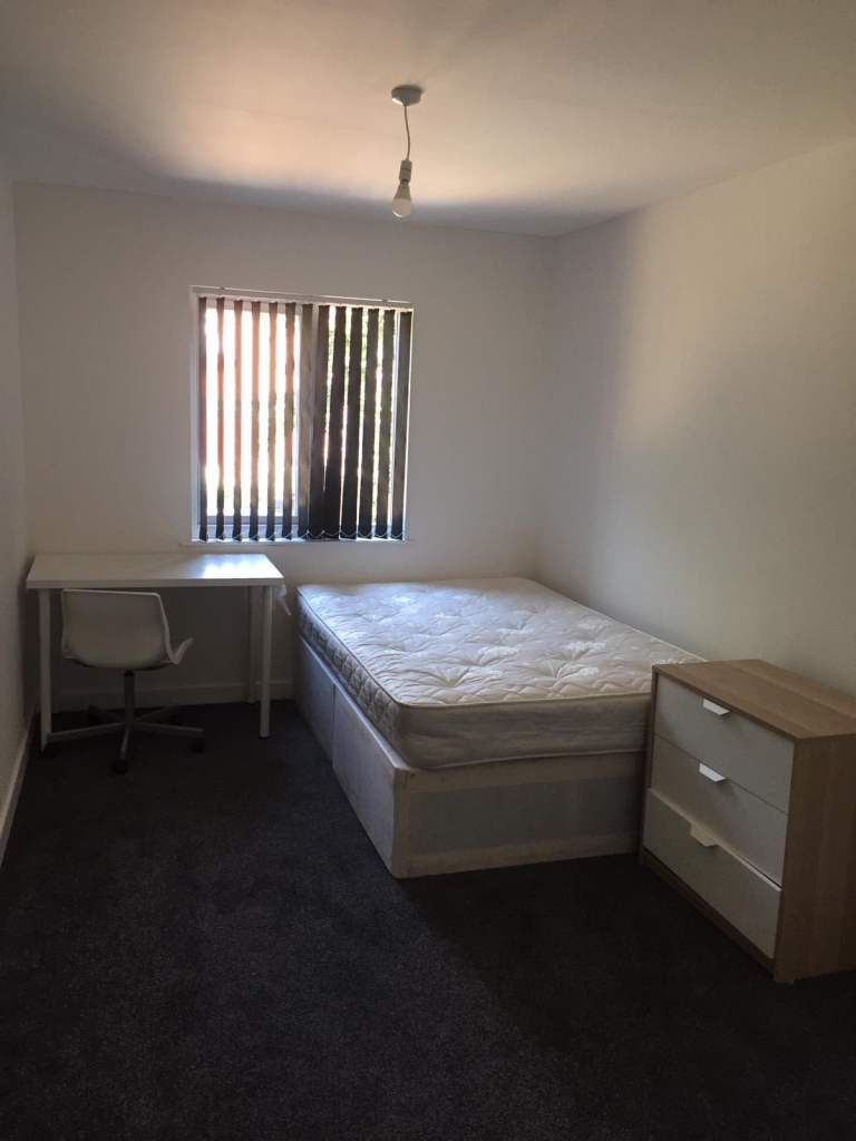 1 bedroom studio room