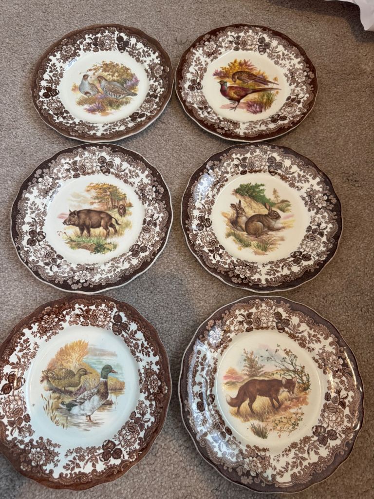 Six palissy  game series dinner plates