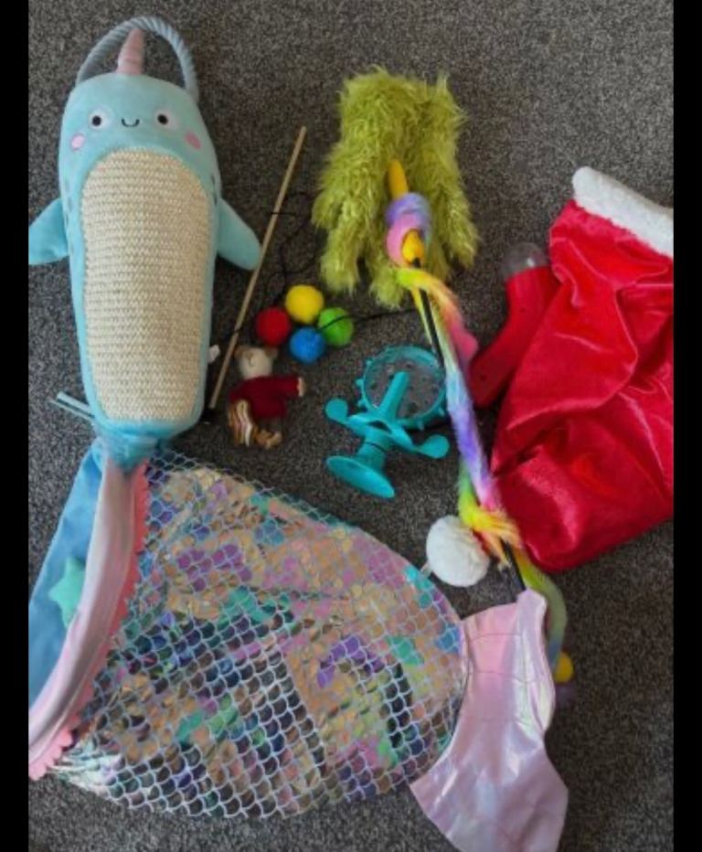 Cat toy bundle and scratching post 