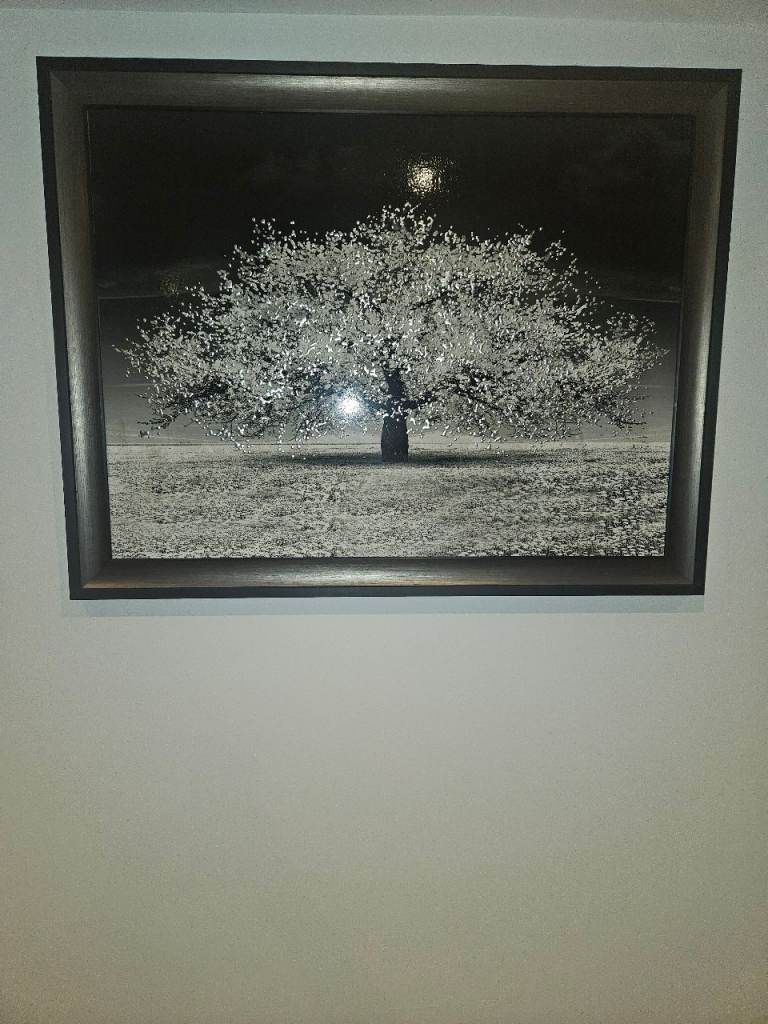 White Cherry Tree framed wall art