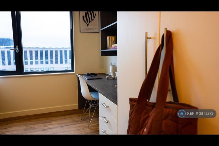 Studio flat in Pearl Works, Sheffield, S1 (#2842773)