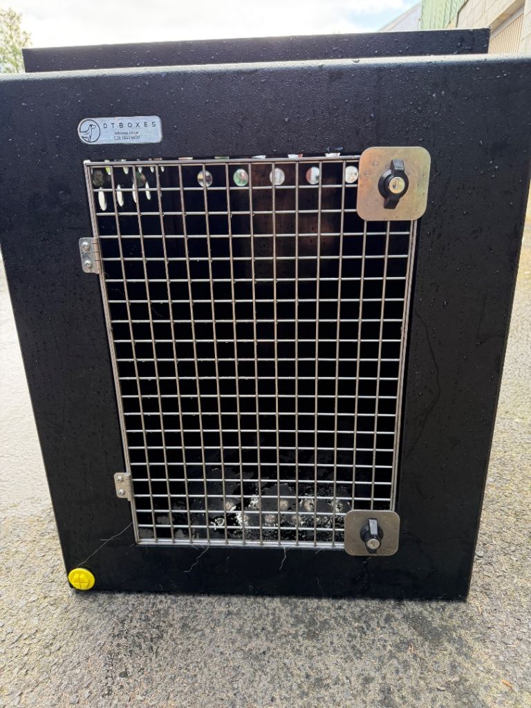 DT Box