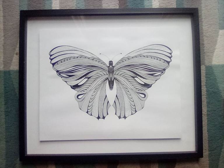 Framed Butterfly Print Picture.
