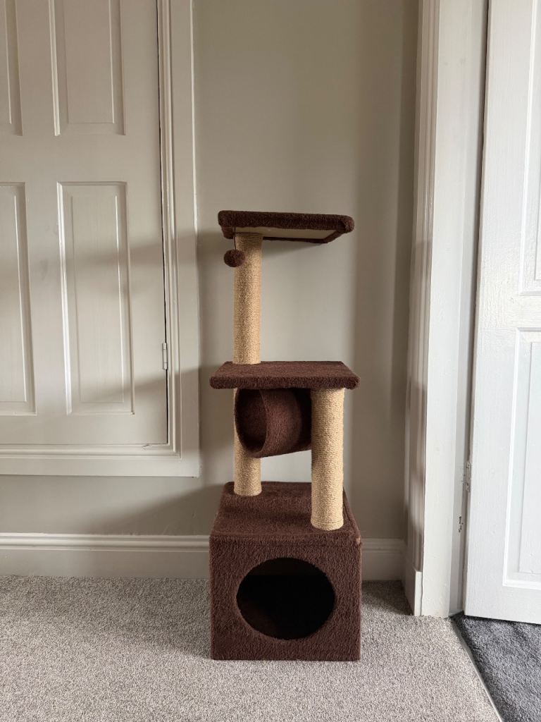 Cat Scratching post 