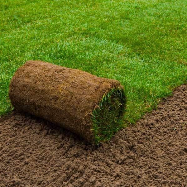🏡🌟Quality Turf - per roll + delivery - Newcastle and surroundings
