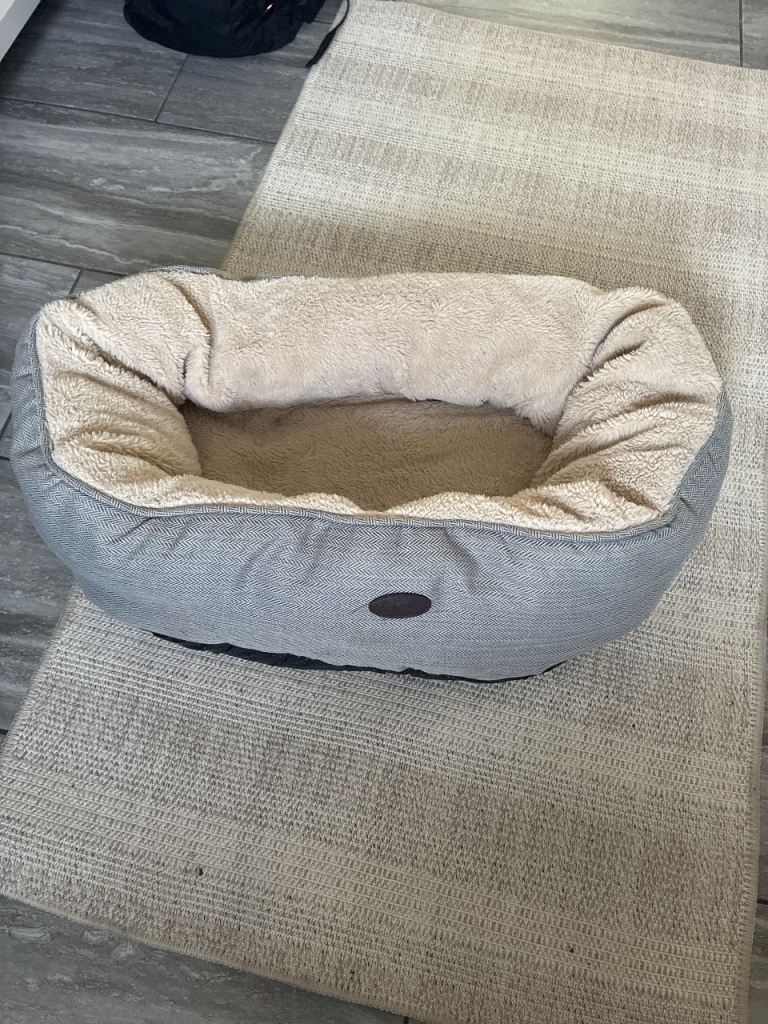 Cat bed 