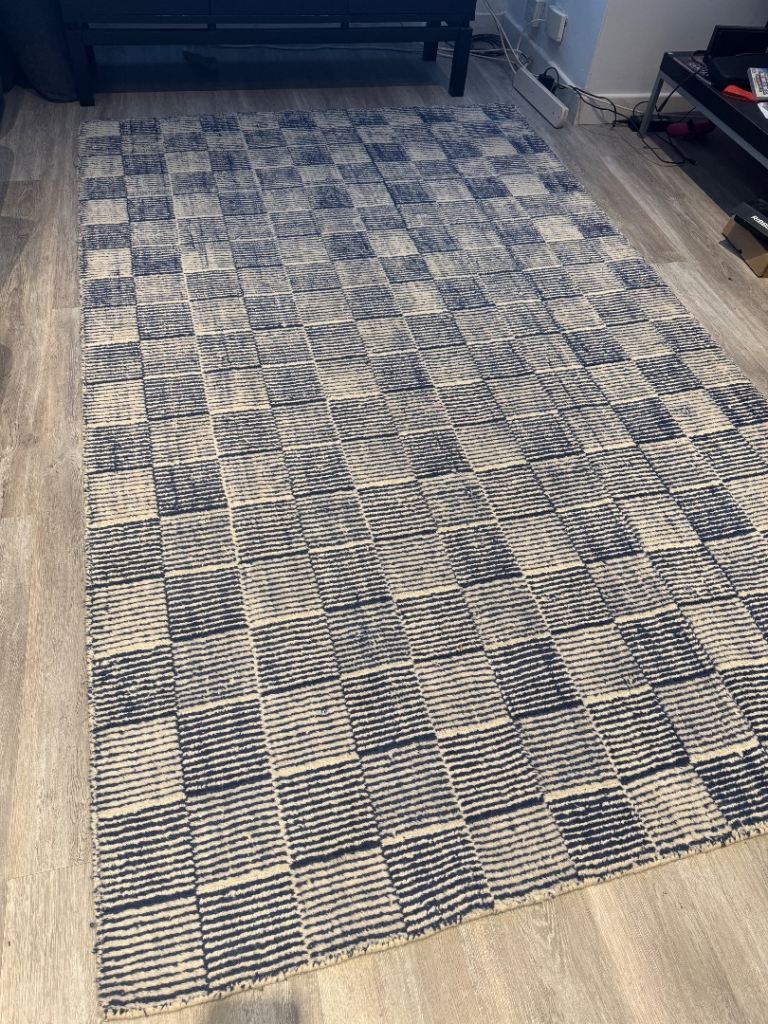 Area rug - blue and while