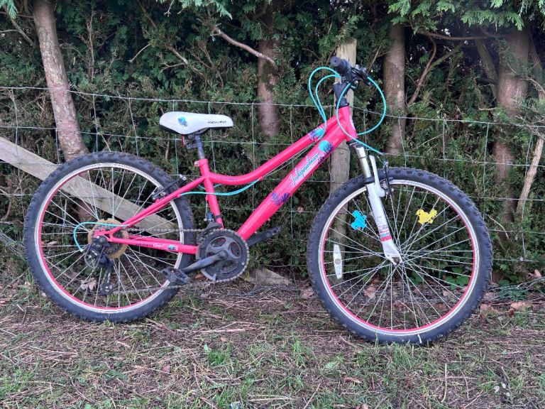 Girls bike 24 inch frame 