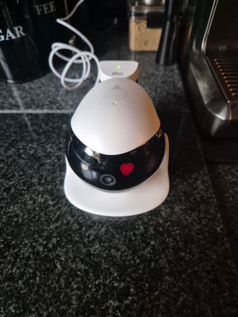 Ebo pet camera