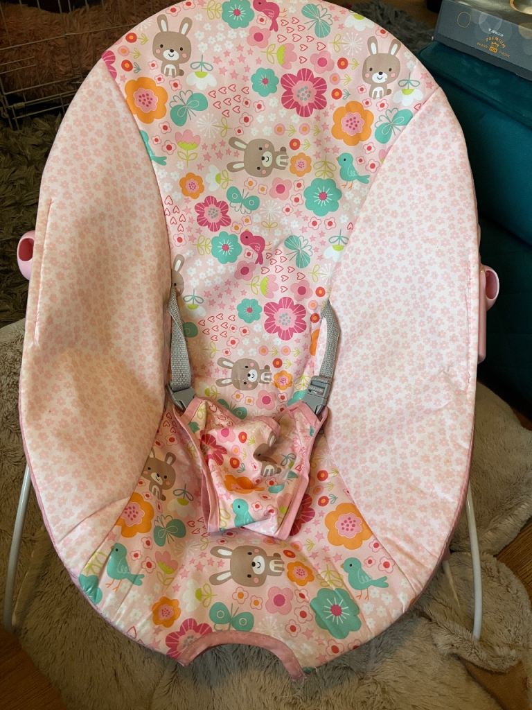 Free - Baby Girl Bouncy Chair